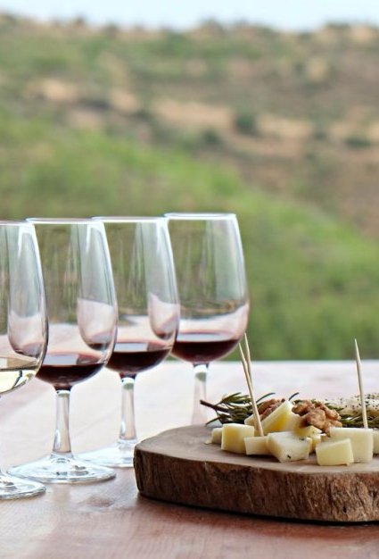 Wine Tasting - Quinta das Cabanas